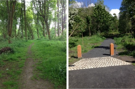 Photos showing typical differences in appearance between intervention (right) and non-intervention (left) woodlands.
