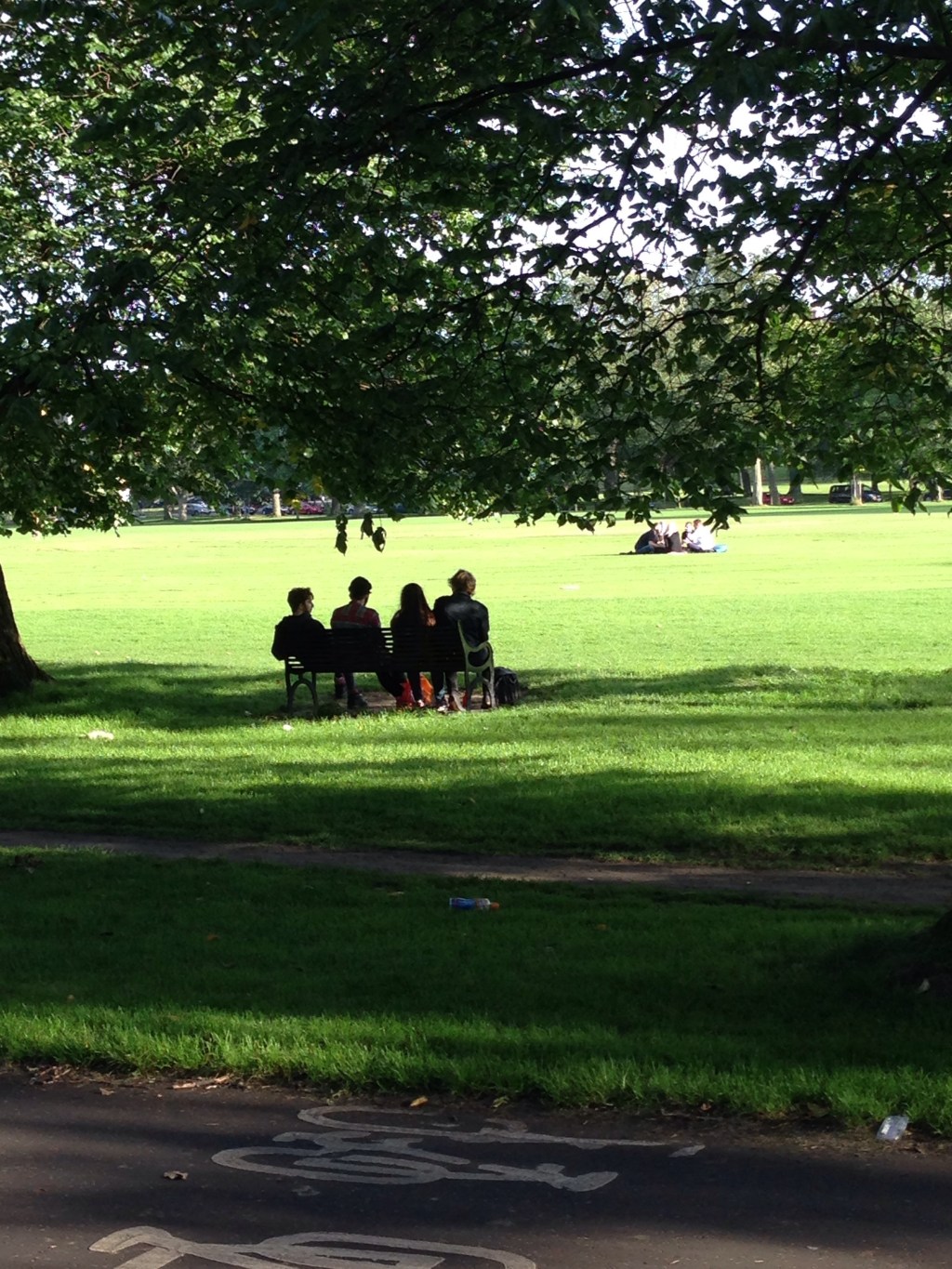 Edinburgh Science Festival Event 2017: Why Places Matter for Mental Health and&nbsp;Wellbeing